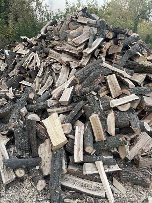 Продам дрова дубові