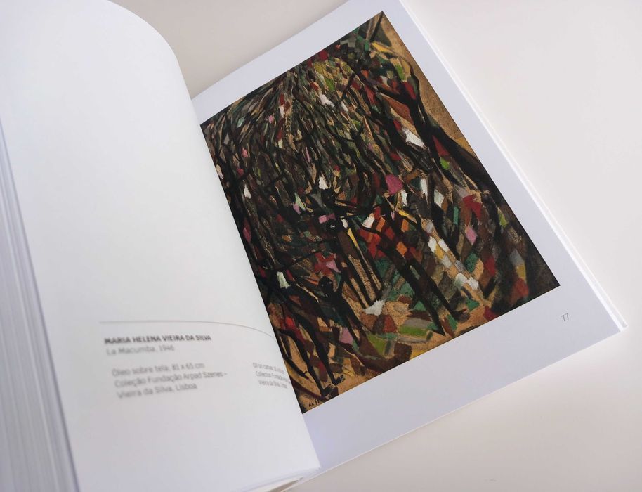 O Caminho para a Luz Porque Passa pela Luz de J Biscainho [Portes Inc]