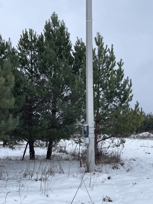 Продам 10 соток під лісом. Забудова. Проців. Бориспіль.