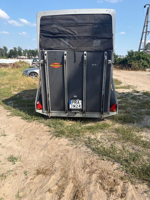 Przyczepa do koni Boeckmann