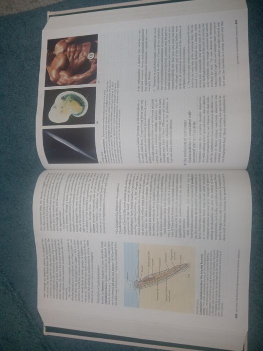 Книга на английском Биология