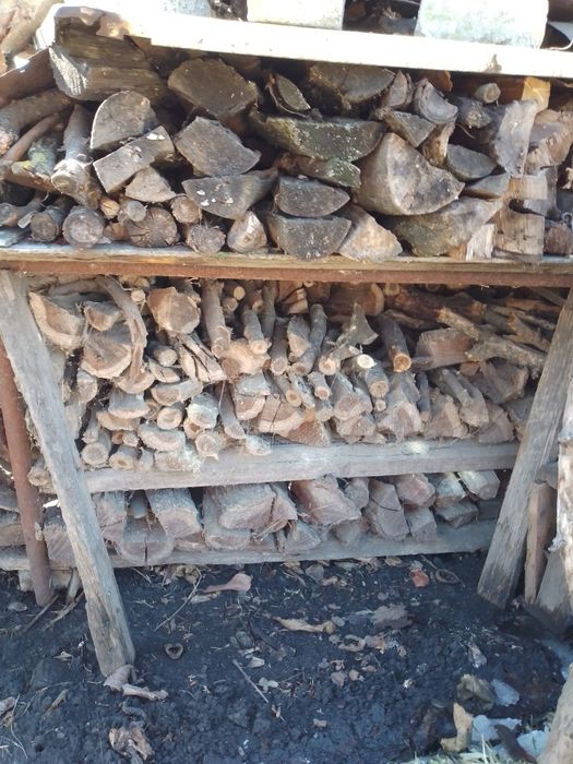 Дрова фруктовые колотые твердых пород