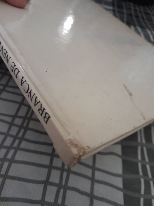 Livro Branca de Neve e os Sete Anões