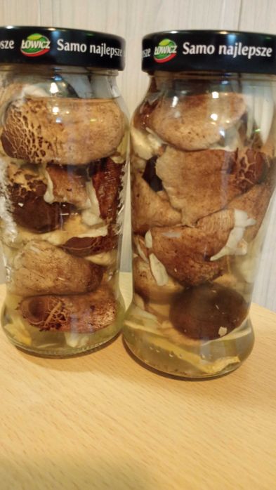 Kania marynowana 500ml