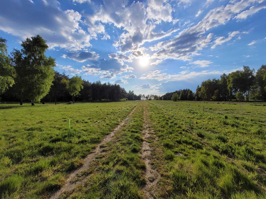 DziałkI budowlane Konary ul. BRZOZOWA / 1500 m² // Żelazowa Wola // Sochaczew // - Widok 2