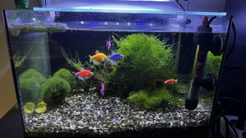 Акваріум 36х25х24