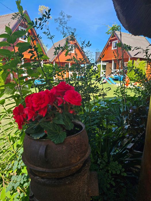 noclegi-domki nad morzem