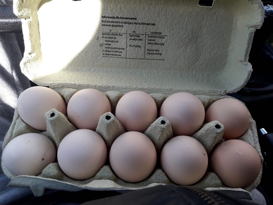 Jajka wiejskie hurt detal