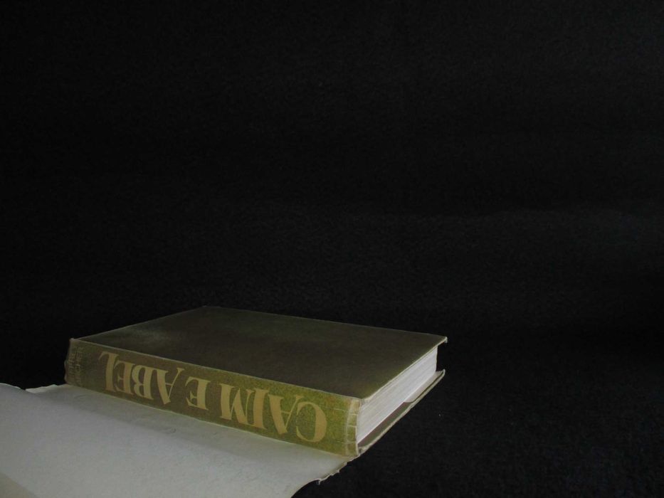 Livro Caim e Abel Jeffrey Archer