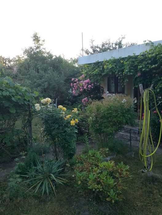 Działka ROD Reja 344 m² - Widok 3