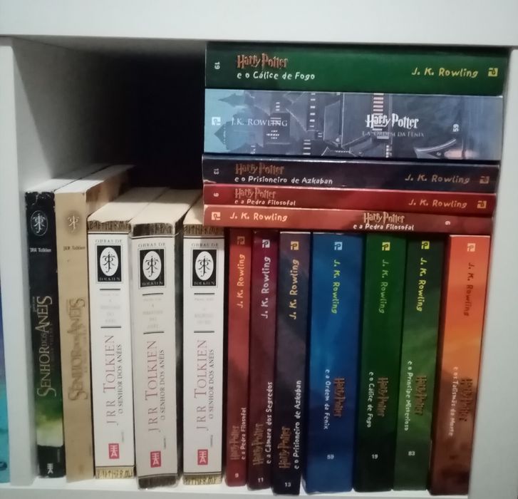 Livros Harry Potter + Tolkien
