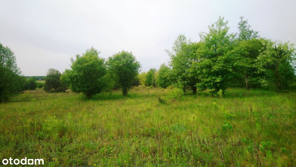 Sprzedam działkę budowlaną o pow. 1093 m² z pozwoleniem na budowę domu. - Widok 5