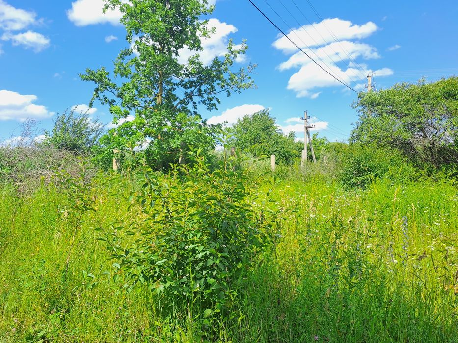 Продаж земельної ділянки 11 сот. с.Підгороднє.