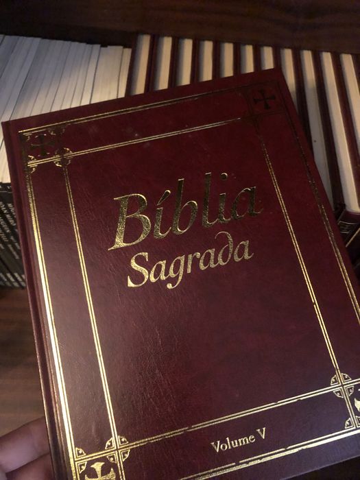 Biblia Sagrada ilustrada