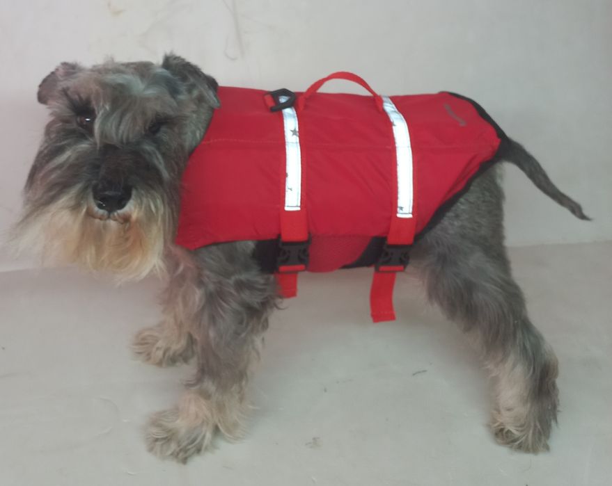 Плавательный, спасательный жилет для собак ТМ Lemartone, XS, S, M, L