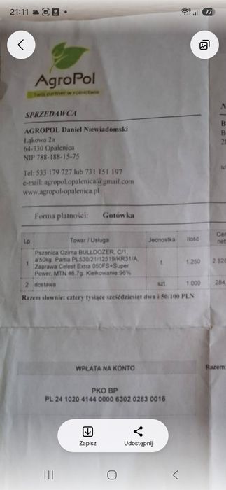 Pszenica ozima  odmiany Bulldożer i Sfera po centrali .