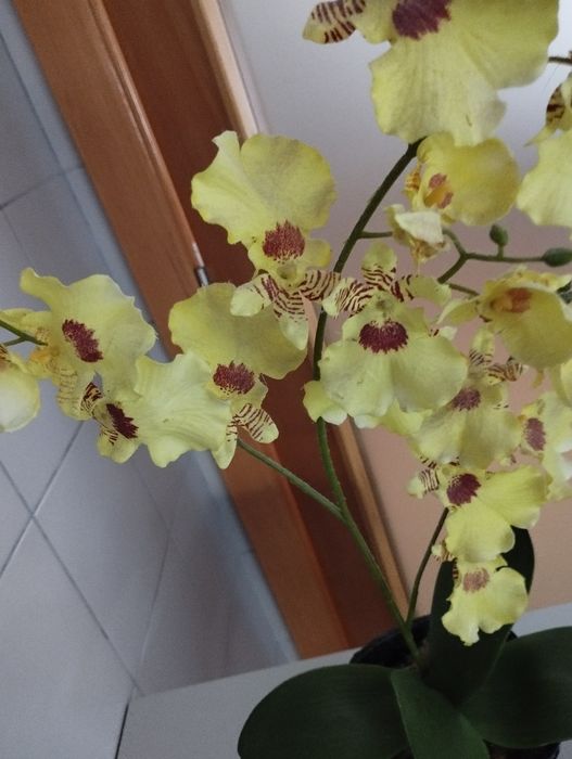 Orquídea artificial