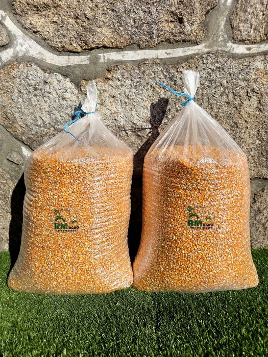 Milho Miúdo RM Agro - Colheita 2025