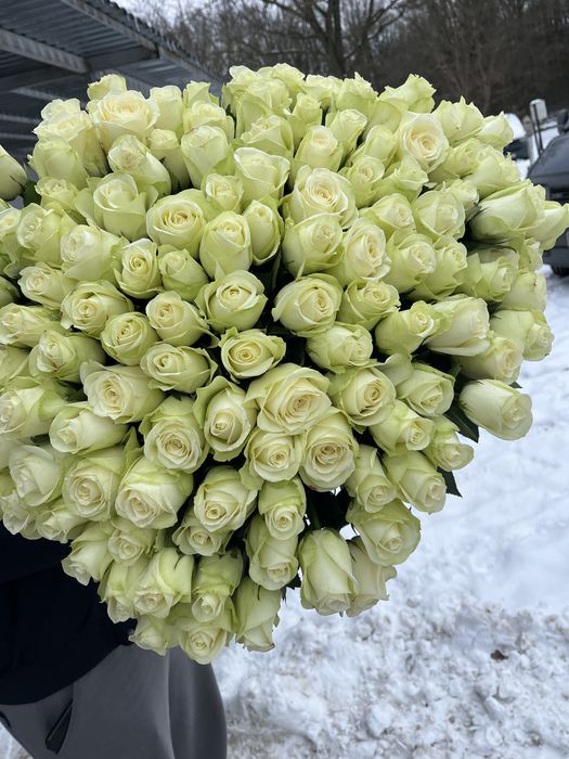 101 троянда львів