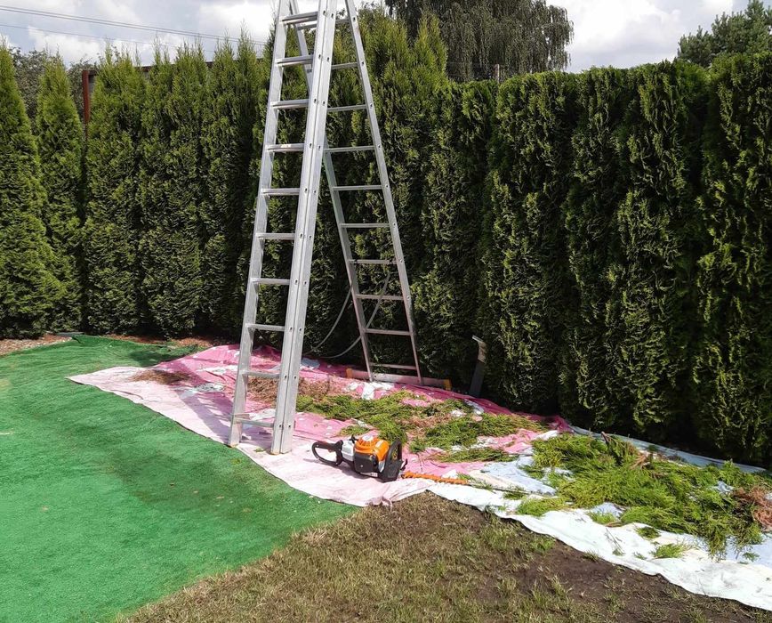 Chełm i okolice-Skracanie  Tuii, Koszenie trawy, wycinka drzew.