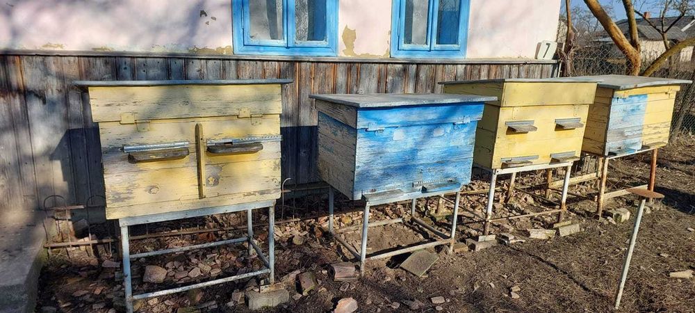 Бджолина пасіка, вулики, рамки, вощина