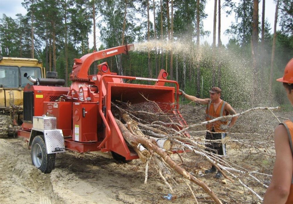 Спил, обрезка, кронация деревьев с авто вышки и без, вывоз ветки