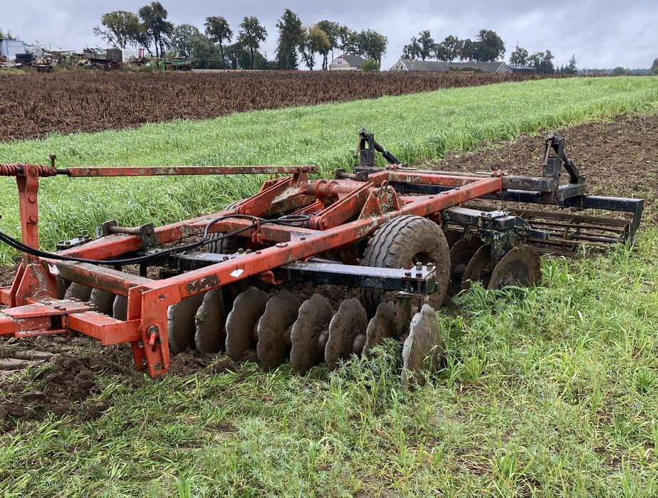 Talerzowka 3 m sprowadzona