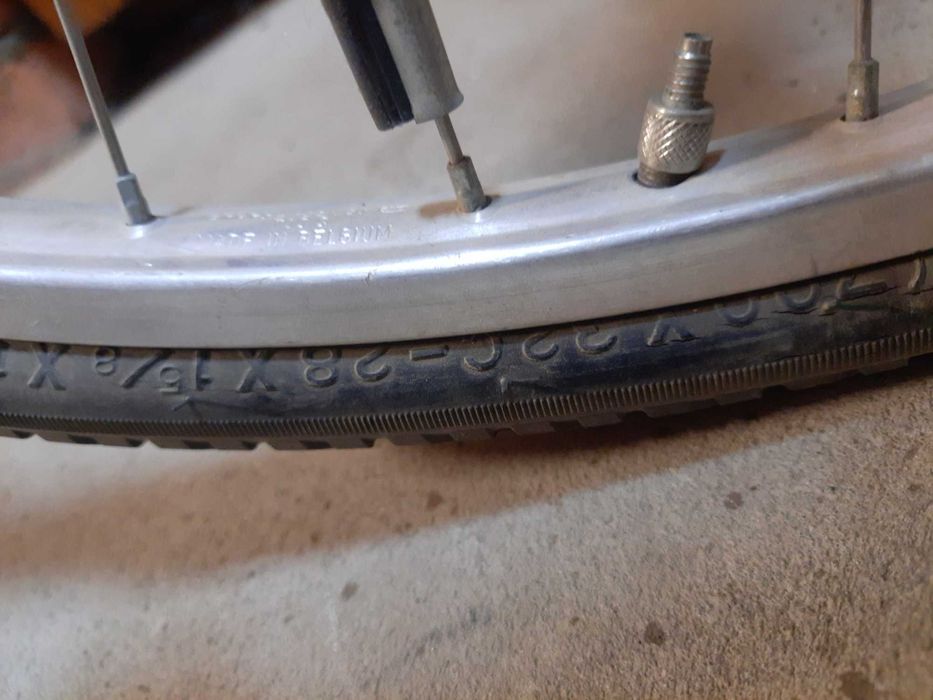 Rower damski holenderski