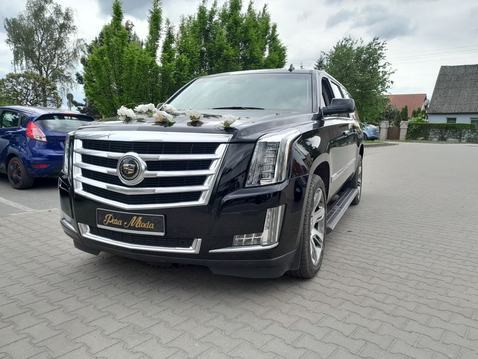 Auto do ślubu i na transfery Cadillac Escalade 500 zł całość.