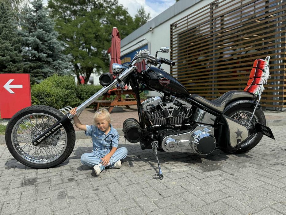Harley Davidson 103 Easy Rider Zamiana