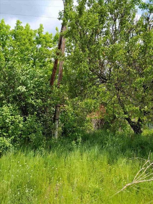 Чудова ділянка біля соснового лісу та пляжу в с. Головач