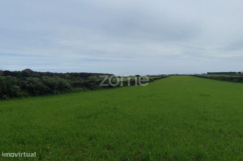 Agricultural Land