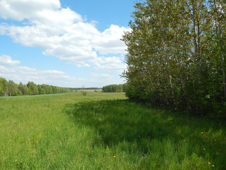 Działka   1150 m2 W.Z.