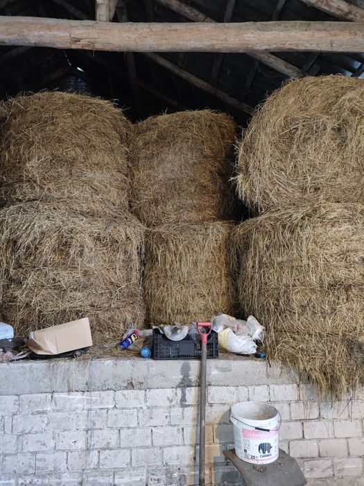 Sprzedam Siano suche