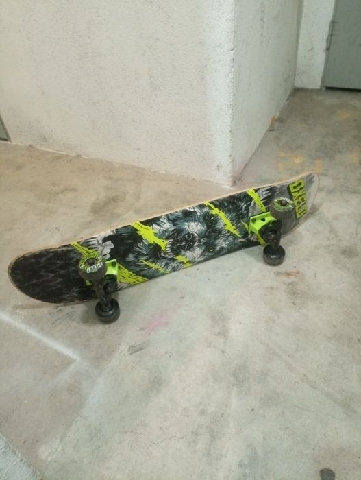 Skate novo andou umas 10 vezes