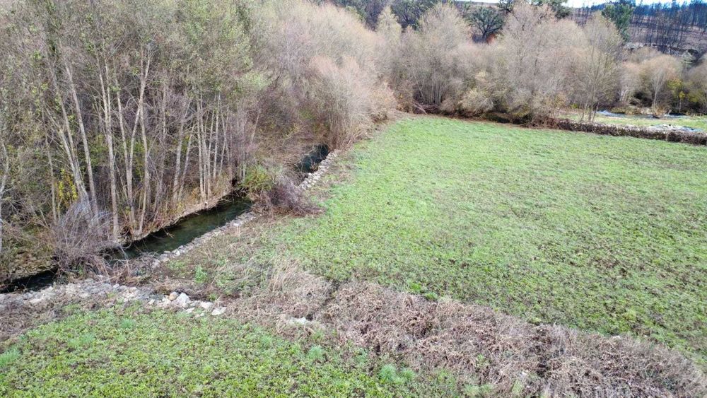 Terreno Rústico com Ribeiro