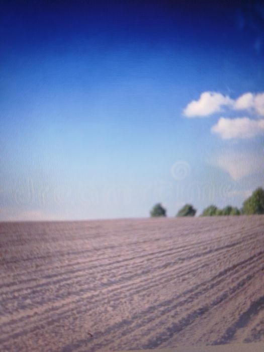 Земля продажа Одесская область 4550га