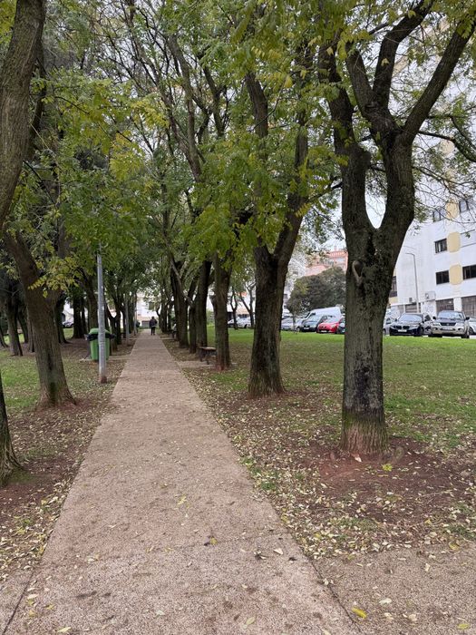 Quarto com 2 camas em Massamá a 600 m da estação de comboio