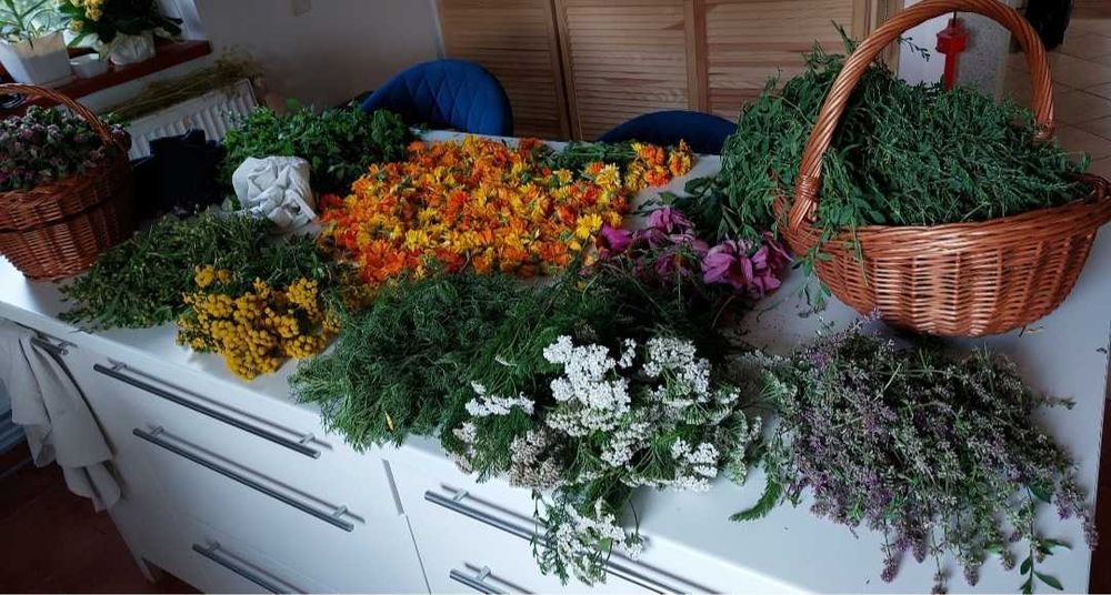 Ocet mięta, naturalny