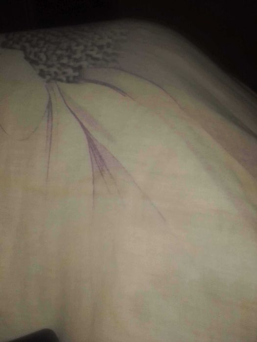 Вывозим ветки,траву,дрова,хлам ,мусор,с дачных и приусадебных участков