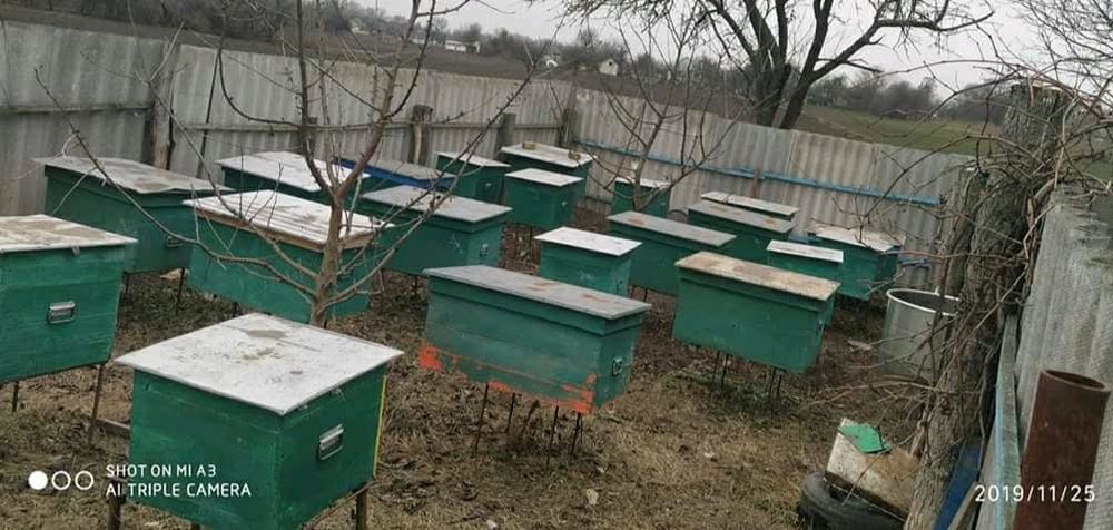 Продам вулики різних типів