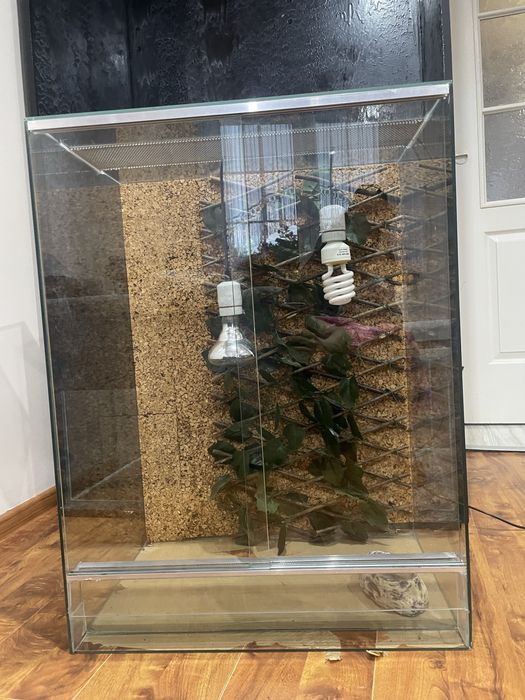 Terrarium dla gada