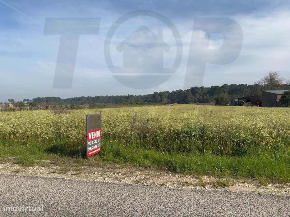 Terreno Construção - Foros de Salvaterra - 6040 M2 - 31 Mts de Fren...