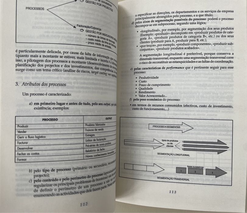Livro Métodos e Práticas da Performance, Philippe Lorino