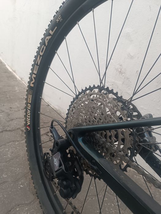 Bicicleta BTT 29" Carbono
