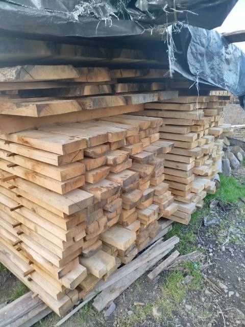 Brusy dębowe i jesionowe