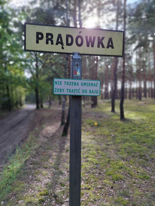 Zdjęcie 5
