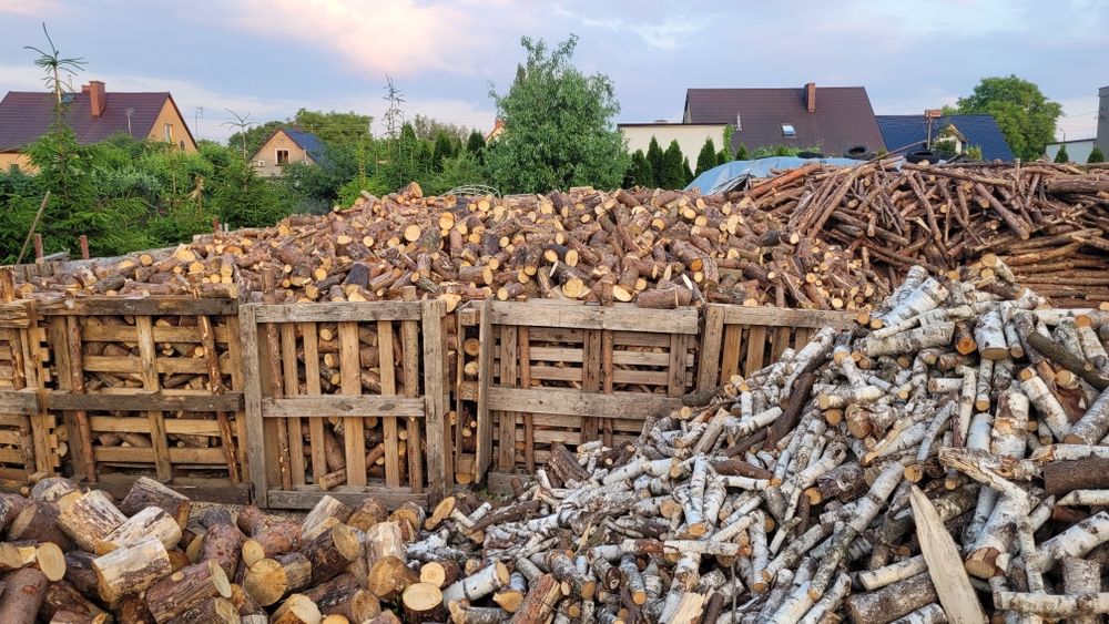 Drewno opałowe pocięte lub w całości , suche