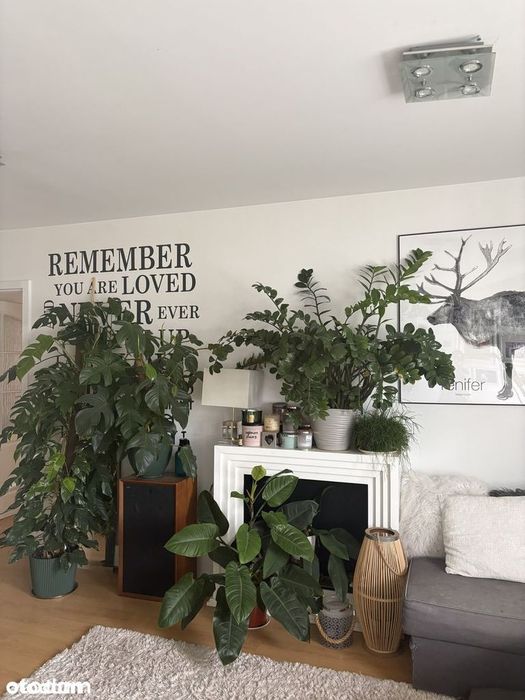 OKAZJA ! Apartament na prestiżowym osiedlu.