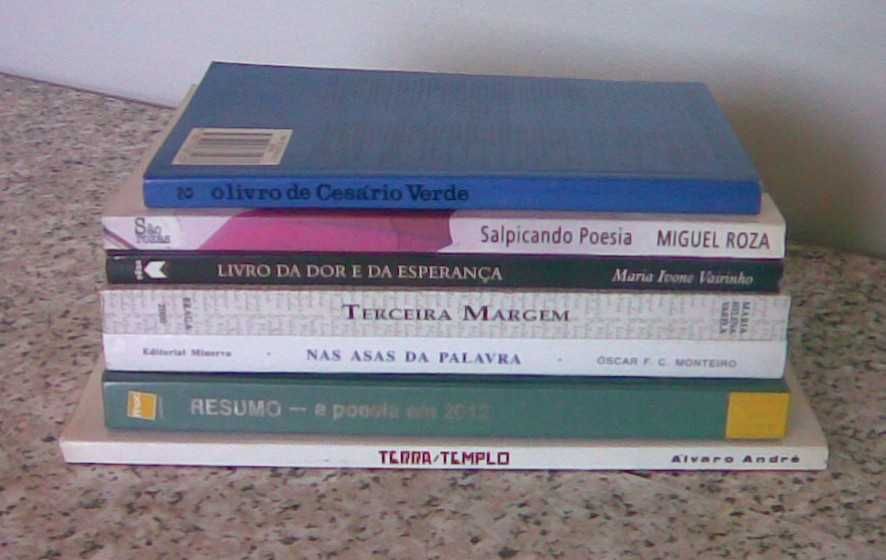 Lote com 48 livros - para desocupar